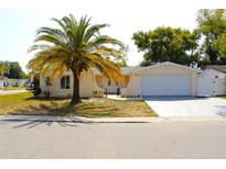 Charming single-story home featuring a well-maintained lawn and a picturesque palm tree in the front yard at 9200 Lunar Ln, Port Richey, FL 34668