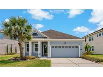 Charming single-story home with a well-manicured lawn and a welcoming two-car garage at 11401 Quiet Forest Dr, Tampa, FL 33635