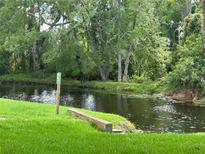 Scenic view of the pond with lush greenery and trees, offering a serene and natural setting at 4903 Myrtle Oak Dr # 12, New Port Richey, FL 34653