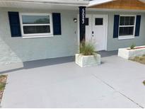 Inviting front entrance with fresh gray concrete, white front door and blue shutters at 5023 Queen Palm Dr, New Port Richey, FL 34652