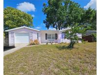 Charming one-story home boasts a vibrant yard, mature trees, and painted exterior accents at 6339 Delaware Ave, New Port Richey, FL 34653