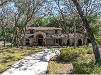 Stunning home with a stone entryway and arched windows along a drive surrounded by mature trees at 6454 Summerfield Loop, New Port Richey, FL 34655