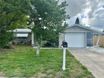 Charming single-story home featuring an attached garage and well-maintained front lawn at 10014 Kingswood Ln, Port Richey, FL 34668