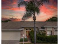 Charming one story home featuring a double door entrance, a brick facade and a palm tree at 1105 Flora Vista St, New Port Richey, FL 34655