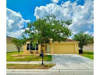 Charming single-story home with a well-manicured lawn, mature tree, and attached two-car garage at 11055 Belle Haven Dr, New Port Richey, FL 34654