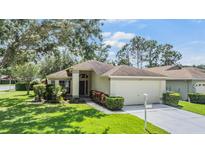Charming single-story home with a well-manicured lawn, landscaping, and two-car garage at 1407 Hickory Moss Pl, Trinity, FL 34655