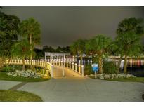 Scenic night view of a wooden bridge illuminated with lights surrounded by palm trees and water at 8409 Blue Rock Dr, New Port Richey, FL 34653