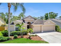 Charming single-Gathering home featuring a three-car garage and mature landscaping at 9729 Bay Colony Dr, Riverview, FL 33578