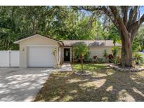 Charming single-story home with lush landscaping and mature trees at 13923 Pathfinder Dr, Tampa, FL 33625
