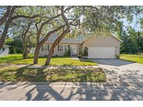 Charming single-Gathering home featuring a well-manicured lawn and an attached two-car garage at 15613 Charmwood Dr, Hudson, FL 34667