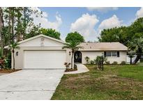 Charming single-story home featuring a two-car garage, well-maintained lawn, and inviting front entrance at 22154 Weeks Blvd, Land O Lakes, FL 34639