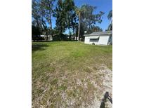 Spacious yard with mature trees and lush green grass, perfect for outdoor activities at 410 Houle Ave, Sarasota, FL 34232