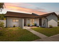 Charming single-story home with neutral paint, brown roof, landscaping, and a walkway at 11402 Shallowbrook Pl, Tampa, FL 33624