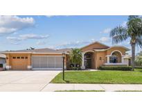 Charming single-story home with a well-manicured lawn, mature landscaping, and a welcoming entrance at 18223 Nestlebranch Ct, Hudson, FL 34667