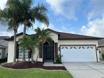 Charming single-story home featuring a well-manicured lawn and mature palm trees at 11520 Lounds Ct, New Port Richey, FL 34654