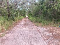 Tranquil dirt road winding through lush greenery, perfect for a secluded homesite or outdoor adventures at 12643 Placid Rd, Hudson, FL 34667