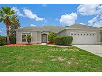 Charming single-story home featuring a lush front lawn, complemented by a palm tree, and a two-car garage at 15569 Burbank Dr, Brooksville, FL 34604