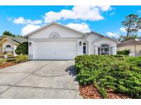 Charming single-story home featuring a well-maintained lawn and a two-car garage at 10935 New Brighton Ct, New Port Richey, FL 34654