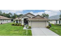 Charming single-story home with a well-maintained lawn, mature landscaping, and a two-car garage at 1242 Almondwood Dr, Trinity, FL 34655