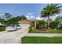 Charming one-story home with well-manicured lawn, mature palm trees, and a two-car garage at 9719 Oakwood Hills Ct, New Port Richey, FL 34655