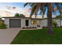 Charming single-story home with a well-manicured lawn, tidy landscaping, and attached garage at 10224 Old Orchard Ln, Port Richey, FL 34668
