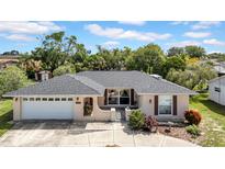 Charming one-story home with a well-maintained lawn and inviting curb appeal and attached two car garage at 7133 Box Elder Dr, Port Richey, FL 34668