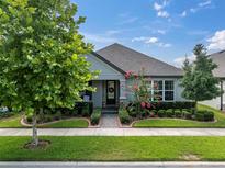 Charming single-story home with manicured landscaping and a welcoming front entrance, embodying suburban curb appeal at 3885 Villamore Ln, Odessa, FL 33556