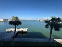 Beautiful waterfront views with a private dock surrounded by palm trees on a sunny day at 5555 Gulf Blvd # 315, St Pete Beach, FL 33706