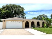 Charming home with a well-manicured lawn, inviting arched entryway, and a two-car garage at 3447 Paloma Dr, Holiday, FL 34690