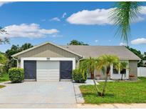 Charming single-story home featuring a two-car garage and a beautifully landscaped front yard with palm trees at 3204 Payne St, New Port Richey, FL 34655