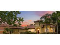 Stunning Mediterranean style home with red tile roof, lush landscaping, and a picturesque sunset backdrop at 9829 Sorbonne Loop, Seffner, FL 33584