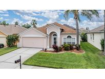 Charming single-story home featuring well-manicured lawn and attached two-car garage at 10435 Peppergrass Ct, Trinity, FL 34655