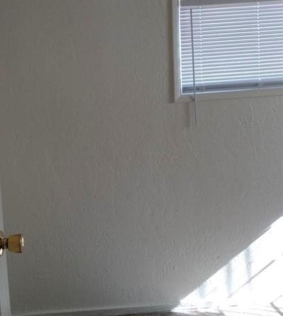 Photo #20
