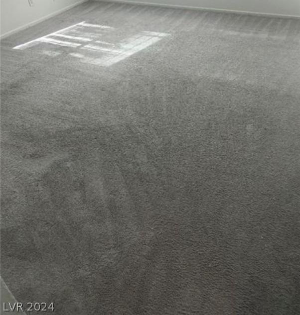 Photo #24