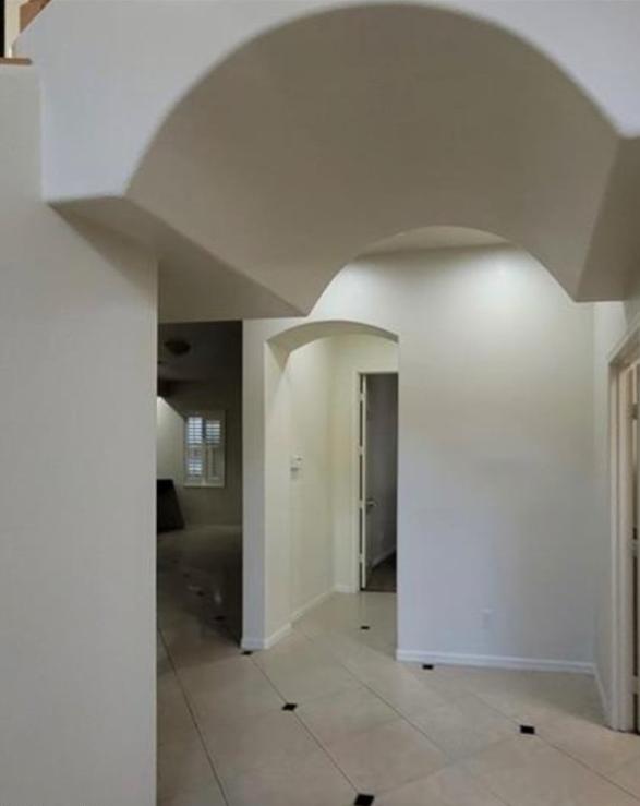 Photo #8