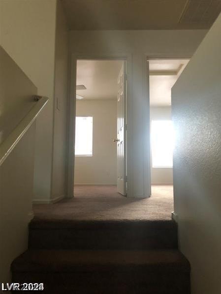 Photo #15