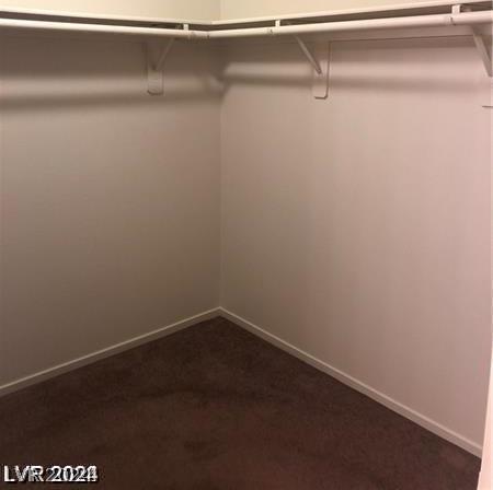 Photo #23