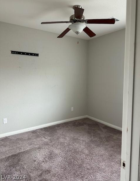Photo #42
