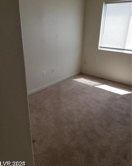 Photo #42