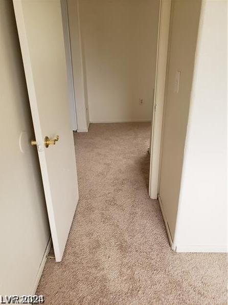 Photo #47