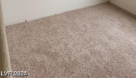 Photo #45