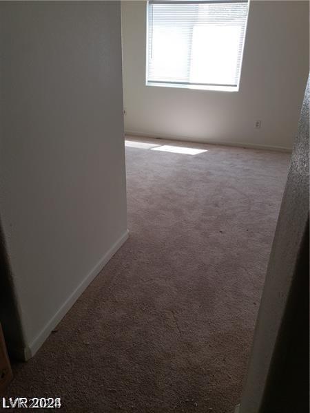 Photo #41