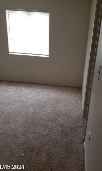 Photo #43