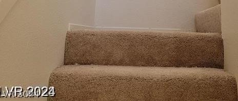 Photo #51