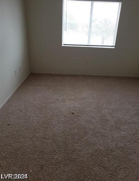 Photo #39