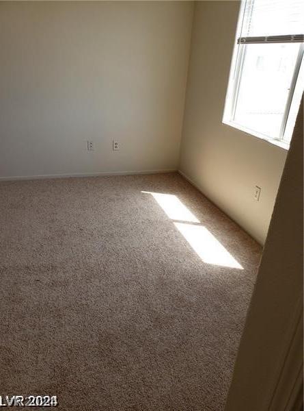 Photo #38