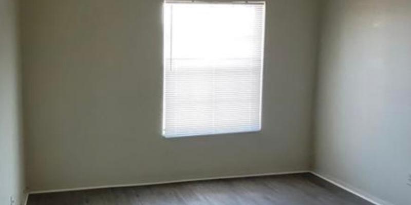 Photo #12