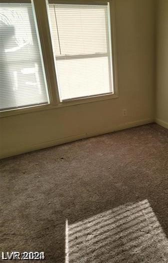 Photo #43
