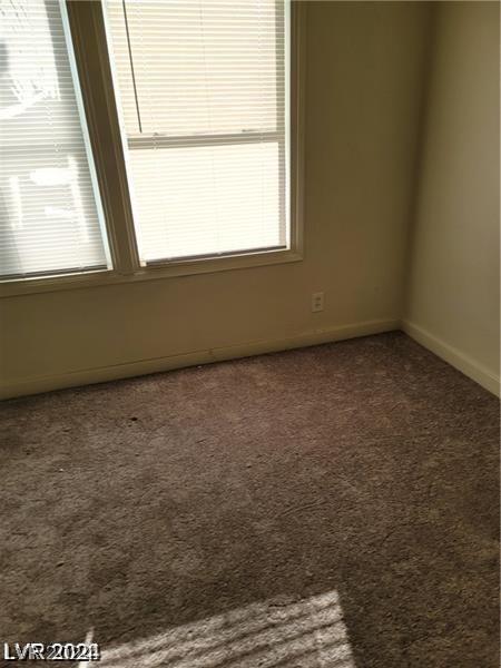 Photo #42