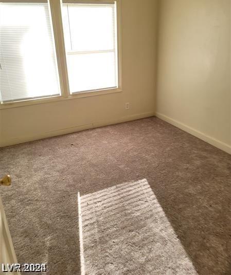 Photo #46